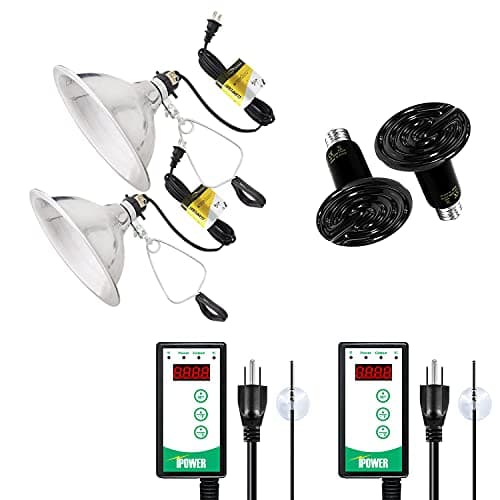 Simple Deluxe 150W Reptile Ceramic Heat Bulb with 8.5 Inch Clamp Lamp and Digital Thermostat Controller Combo Set for Incubating Chicken & Amphibian Pet, 2 Pack - Image 1