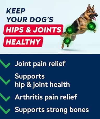 STRELLALAB Hip & Joint Glucosamine Supplement Treats for Dogs - Chondroitin, Omega-3, MSM - Advanced Joint Health Support Chews for Large Breed - Pain Relief - Bacon Flavor - 120 Ct - Made in USA - Image 2