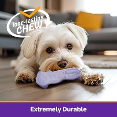 Kimee Dog Toys for Aggressive Chewers, 3 Pack Indestructible Dog Chew Toys, Super Chewer Toys with Tough Nylon Bacon Flavor for All Breed Sizes, Teeth Cleaning & Training, Boredom Relief - Image 9