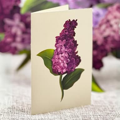 Freshcut Paper Pop Up Cards, Garden Lilacs, 12 Inch Life Sized Forever Flower Bouquet 3D Popup Greeting Card, Birthday Cards, Thank You Card, Blank Notecard & Envelope - Image 7