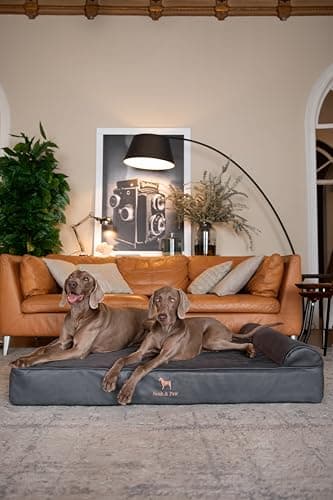 NOAH & PAW Giant Dog Bed XXL 55x45x9.5 Inch, Orthopedic Dog Beds, Eggshell Memory Foam Infused with Cooling Gel, Waterproof, Machine Washable, Includes Inner Cover (Faux Leather) - Image 2