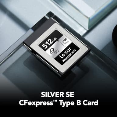 Lexar 512GB Professional Silver SE CFexpress Type B Memory Card, for Photographers, Videographers, Up to 1700/1250 MB/s, 8K Video (LCXEXSE512G-RNENU) - Image 2