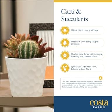 Costa Farms Succulents, Live Succulent Plants (18-Pack) Assorted Grower's Choice Live House Plants, Nursery Planter Pots, Potting Soil Mix, Bulk Gift for Baby Shower, Bridal Shower, DIY, Party Favors - Image 5