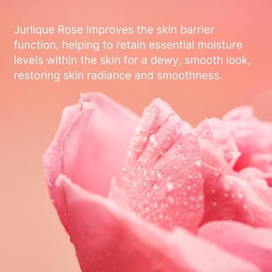 Jurlique - Rare Rose Lotion 50ml - Image 4