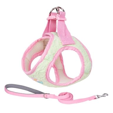 AIITLE Breathable Dog Vest Harness and Leash Set - Step in Adjustable Dog Harness with Magic Tape Design and Quick-Release Buckle - Outdoor Walking, Training for Medium Dogs Green L - Image 1