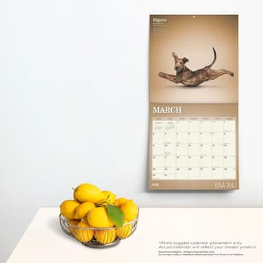Yoga Dogs OFFICIAL | 2025 12 x 24 Inch Monthly Square Wall Calendar | Plastic-Free | BrownTrout | Animals Humor Pets - Image 5