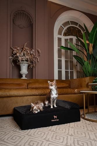 NOAH & PAW Large Dog Bed, 35x25x11 Inch, Orthopedic Dog Beds, Eggshell Memory Foam Infused with Cooling Gel, Inner Cover, Waterproof, Machine Washable (Velvet Sofa Collection) - Image 5