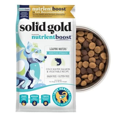 Solid Gold Salmon Dog Food for Sensitive Stomachs – Grain Free & Gluten Free Kibble w/Probiotics to Support Gut Health & Digestion - Sensitive Stomach Dog Food for All Ages – Nutrientboost™ – 22 LB - Image 1