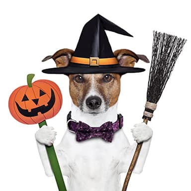 TDTOK Halloween Dog Collar with Bowtie Adjustable Halloween Spooky Dog Collar with Eco Friendly Plastic Buckle Spooky Skull Bat Tree Moon Pumpkin Dog Collar for Small Medium Large Dogs - Image 4