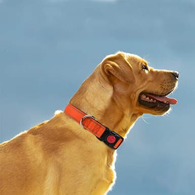 Taglory Reflective Dog Collar with Safety Locking Buckle, Adjustable Nylon Pet Collars for Large Dogs, Orange - Image 2