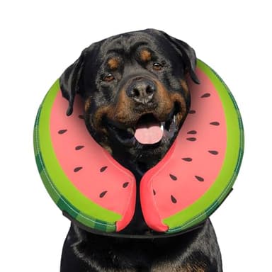 Dog Cone Collar for Small Medium Large Dogs for After Surgery, Pet Inflatable Neck Donut Collar Soft Protective Recovery Cone for Dogs and Cats - Alternative E Collar Does not Block Vision - Red,XL - Image 1