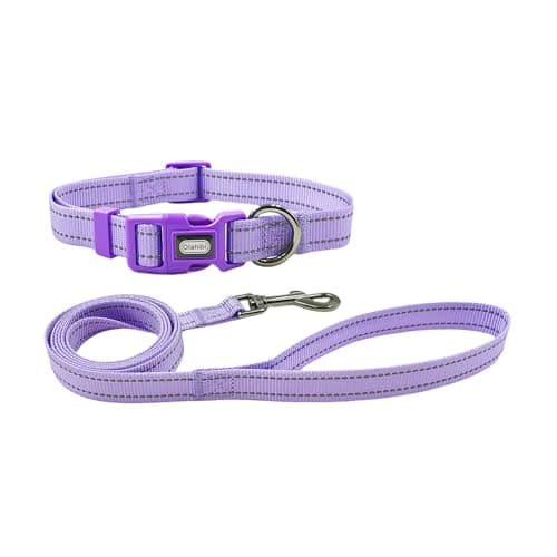 Olahibi Dog Collar Leash Set, Durable Nylon with Reflective Stripes, 5ft Matching Leash, for Small Dogs.(S, Purple) - Image 1