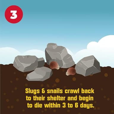 Corry's 100537446 Slug & Snail Killer, 3.5 lb, Brown/A - Image 4