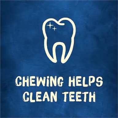 Purina Busy Bone Adult Dog Chew Bone Treats, Peanut Butter - 10 ct. Pouch - Image 9