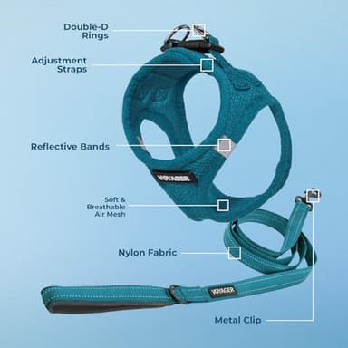 Voyager Step-in Air All Weather Mesh Harness and Reflective Dog 5 ft Leash Combo with Neoprene Handle, for Small, Medium and Large Breed Puppies by Best Pet Supplies - Set (Turquoise), XS - Image 3
