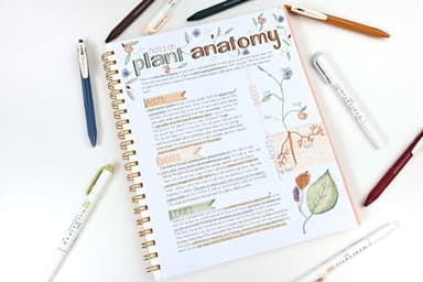 Zebra Pen Sarasa Clip Vintage and Mildliner Neutral Set, Ideal for Bible Highlighting, No Bleed, School Supplies and Teacher Supplies, Fine Point, Assorted Colors, 14-Pack (10114) - Image 2