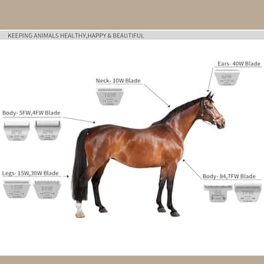 2 Pack T84# Detachable Pet Dog Grooming Stainless Steel Blades,Compatible with Andis/Oster A5/Wahl KM10 Series Dog Clippers,Cut Length 3/32"(2.4mm) - Image 4