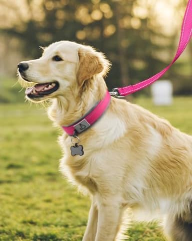 Joytale Dog Collar for Large Dogs, Neoprene Padded and Adjustable, Reflective Wide Heavy Duty Pet Collars with Durable Metal Belt Buckle for Walking, Hotpink, L - Image 3