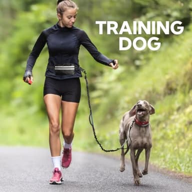 Yicostar Hands Free Dog Leash with Pouch, Retractable Bungee with Double Padded Handles, Dog Leashes with Bungee for Medium & Large Puppy - Image 8