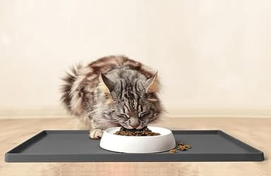 CatGuru Cat Bowls, Whisker Friendly Cat Food Bowl for Indoor Cats, Reliefs Whisker Fatigue, Wide Kitten Dish, Non Slip Pet Dishes, Shallow Pet Plates (Set of 2, Marshmallow) - Image 6