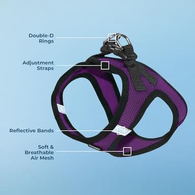 Best Pet Supplies Voyager Step-in Air Harness - All Weather Mesh, Reflective, No Pull Harness for Dogs, Cats - Secure with Hook & Loop Fastener, Buckle, Double D-Rings - Purple/Black Trim, XXXS - Image 4