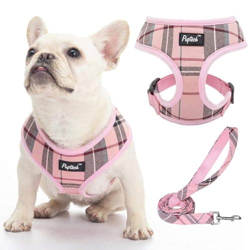 PUPTECK Soft Mesh Dog Harness and Leash Set Pet Puppy Cat Comfort Padded Vest No Pull Harnesses, Light Pink, S - Image 1