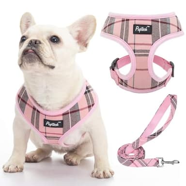 PUPTECK Soft Mesh Dog Harness and Leash Set Pet Puppy Cat Comfort Padded Vest No Pull Harnesses, Light Pink, S - Image 1