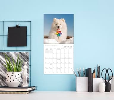 Dogma 2025 Mini Calendar: A Dog’s Guide to Life, 7" x 7" - Image 2