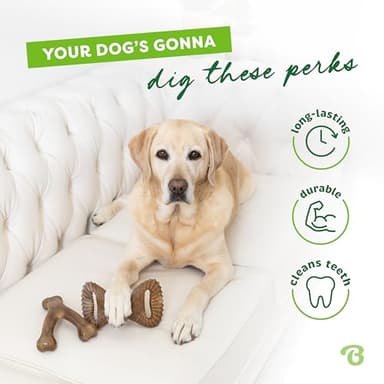 Benebone 2 Count (Pack of 1) Wishbone/Dental Durable Dog Chew Toys, Real Bacon, Made in USA, Small - Image 3
