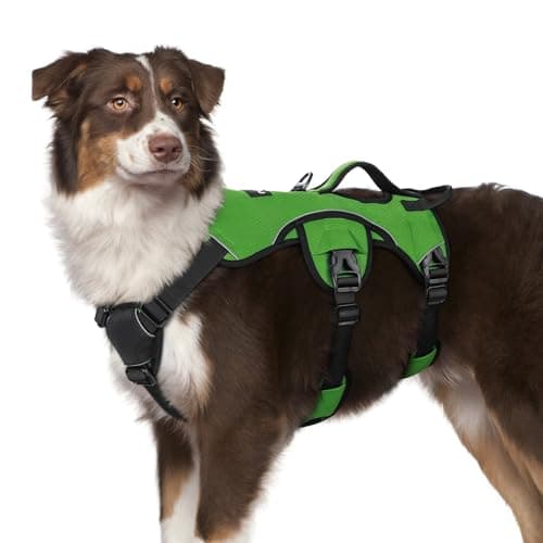 rabbitgoo Escape Proof Dog Harness, Soft Padded Full Body Pet Harness, Reflective Adjustable No Pull Vest with Lift Handle and Lesh Clip for Large Dogs Walking Hiking Training, M, Green - Image 1