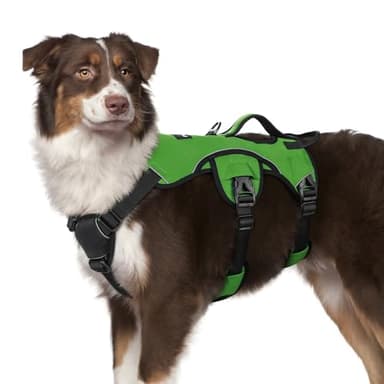rabbitgoo Escape Proof Dog Harness, Soft Padded Full Body Pet Harness, Reflective Adjustable No Pull Vest with Lift Handle and Lesh Clip for Large Dogs Walking Hiking Training, M, Green - Image 1
