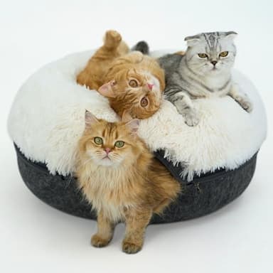 CATTASAURUS Peekaboo Cat Cave for Multiple & Large Cats Up to 30-45 Lbs, Fluffy Cat Beds for Indoor Cats, Scratch Detachable & Washable Tunnel Bed, Comfy Donut Cave (Dark Gray, Large (Calming)) - Image 1