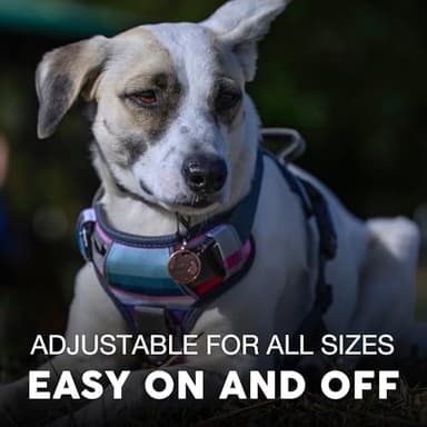 Embark Adventure Dog Harness, Reflective Trim No Pull Harness for Medium Sized Dog - Military Grade Nylon, Front Clip with Gel Lined Handle. Soft & Padded Puppy - Image 4