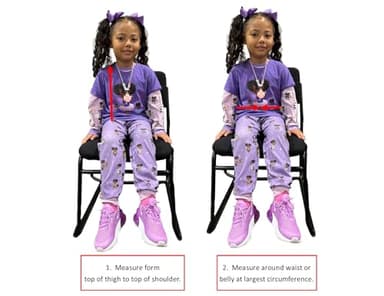 RideSafer - Large Blue, Lightweight, Compact, Portable Car Seat - Perfect for Travel and Everyday Child Safety - Image 5