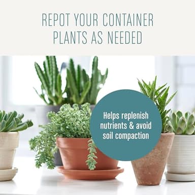 Miracle-Gro Succulent Potting Mix, For Indoor Succulents, Aloe Vera and More, Made with Miracle-Gro Plant Food, 4 qt - Image 8