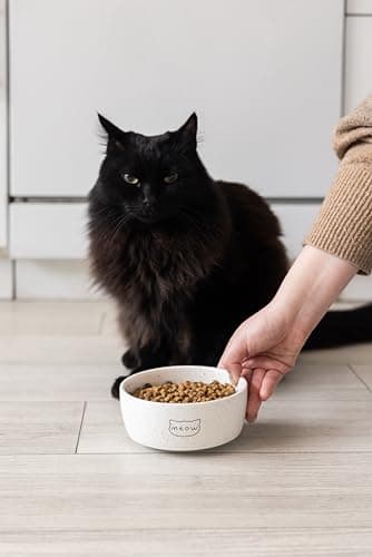 Pearhead Ceramic Meow Cat Bowl, Holds 1.3 Cups, Whisker-Friendly Pet Dish for Food and Water, Microwave and Dishwasher Safe, Small - Image 11