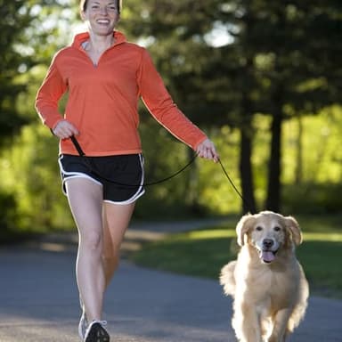 Heavy Duty Dog Leash for Small Medium Large Dogs - Chew Proof Metal Clasp & Padded Handle, Reflective Training Leash Outdoor Walking, Anti-Pull Control (4 FT) - Image 6