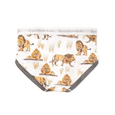 Burt's Bees Baby Baby Toddler Boys' Underwear, Organic Cotton, Tag-Free Comfort Briefs, Happy Herbivores, 4-5T - Image 2