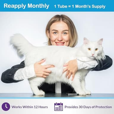 Flea and Tick Prevention for Cats & Kittens: Waterproof Topical Cat Flea and Tick Treatment – Fast-Acting & Long-Lasting At Home Flea Control for Cats Over 1.5 lbs and 8 Weeks or Older – 6 Dose Supply - Image 4