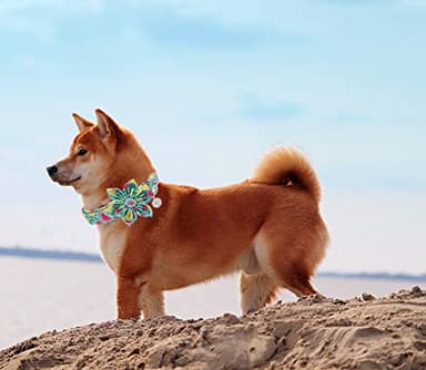 DOGWONG Flower Dog Collar for Female or Male Dogs, Summer Green Pet Collar Adjustable Dog Collars with Flower for Medium Dogs - Image 5