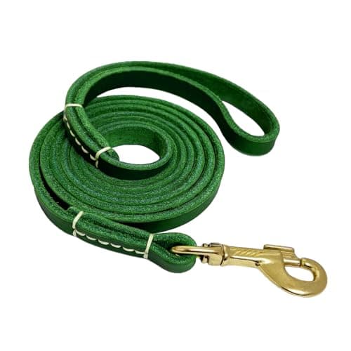 LWBMG Leather Dog Leash for Small Dogs 6ft, Heavy Duty Pet Lead, Soft Genuine Leather Leash for Small Medium Dogs（1/2" X 6', Green） - Image 1