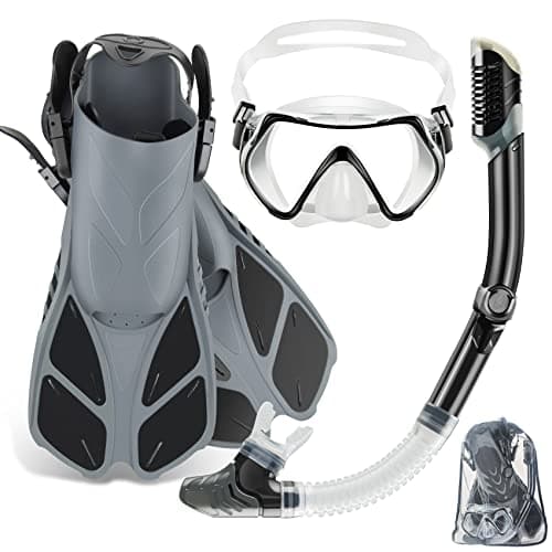 ZEEPORTE Mask Fin Snorkel Set with Adult Snorkeling Gear, Panoramic View Diving Mask, Trek Fin, Dry Top Snorkel +Travel Bags, Snorkel for Lap Swimming - Image 1
