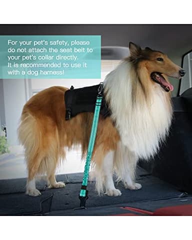 AUBELL Dog Seat Belt for Car,2 Pack Set 3-in-1 Adjustable Reflective Bungee Heavy Duty Dog Car Harness Tether with Clip Hook Latch & Buckle,Swivel Zinc Alloy Carabiner,Black+Teal - Image 8