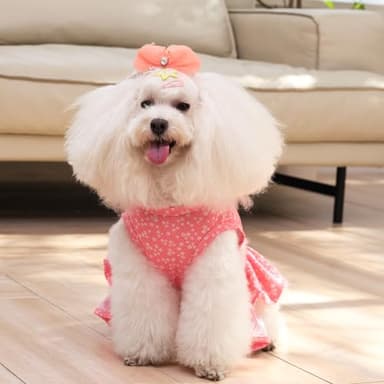 CuteBone Two Piece Dog Sports Dress Athleisure Puppy Skirt Lightweight Small Dogs Girl Clothes Cat Apparel SPS11M - Image 2