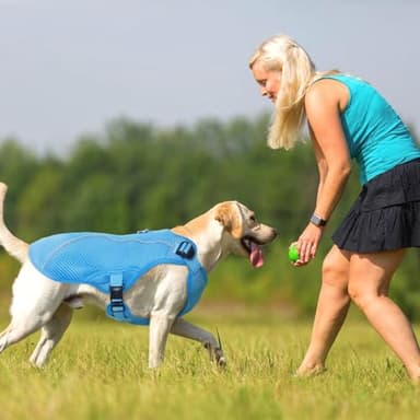 Kuoser Dog Cooling Vest for Large Dogs, Lightweight Doggie Cooler Jacket Breathable Mesh Pet Cooling Shirts Reflective Puppy Cool Harness for Beach, Hiking, Walking Blue XL - Image 6