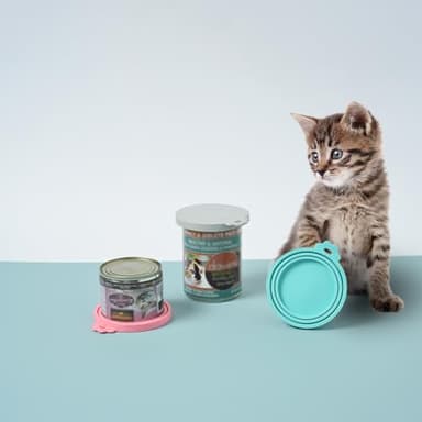 WePet Pet Food Can Covers, Silicone Lids, BPA Free, Dishwasher Safe, Fit Most Standard Size Canned Cat and Dog Food, 3oz/5.5oz/12.5oz/13.2oz, Cool Grey/Rose Pink/Turquoise - Image 6