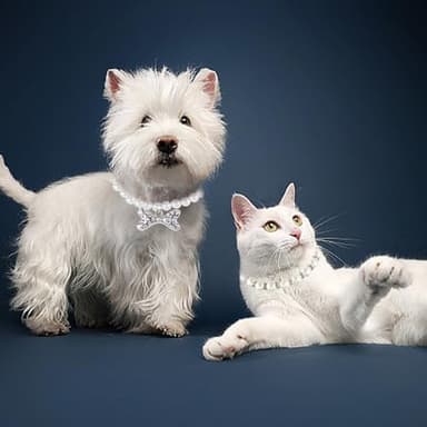 2 Pieces Cute Small Dog Cat Pearl Collars Necklace Set with Crystal Rhinestone for Puppy Kitten Wedding Birthday Party Black Bow Tie L - Image 6