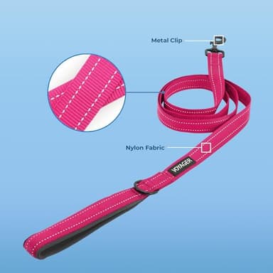 Voyager Reflective Dog Leash with Neoprene Handle, 5ft Long, Supports Small, Medium, and Large Breed Puppies, Cute and Heavy Duty for Walking, Running, and Training - Fuchsia (Leash), S - Image 2