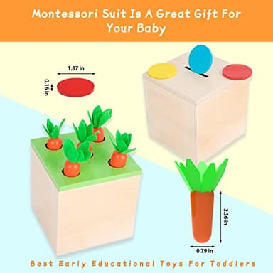 Adena Montessori 3 for 1 Wooden Montessori Play Kit Baby Toys,includes Matchstick Color Drop Game,Carrot Harvest Game and Coin Box,Learning Toy for Kid 1,2,3 Year Old,Girl Boy Gift for Baby 6-12 Month - Image 2