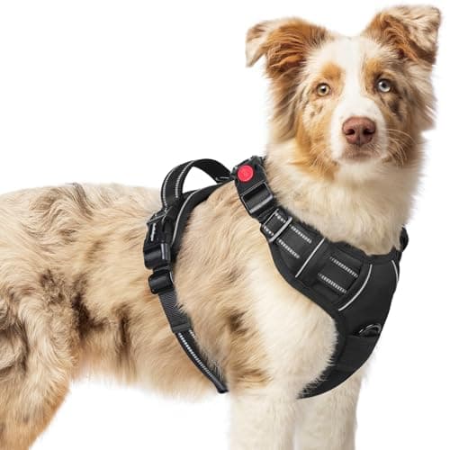 rabbitgoo Dog Harness Medium Sized, No Pull Pet Harness with 3 Buckles, Adjustable Soft Padded Vest with Control Handle, Walking Reflective Pet Vest for Medium Dogs, Black, M - Image 1
